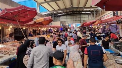 سوق الأسماك الجديد ببورسعيد يشهد إقبالًا كبيرًا من المواطنين