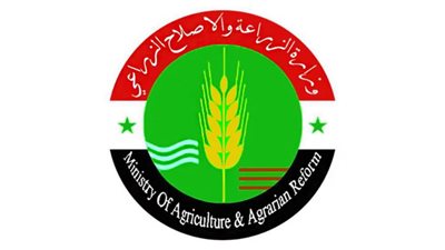 الزراعة السورية: التحقيقات مستمرة لكشف ملابسات حريق القمح في درعا
