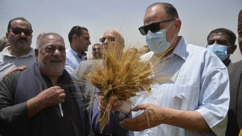 محافظ أسيوط يتفقد