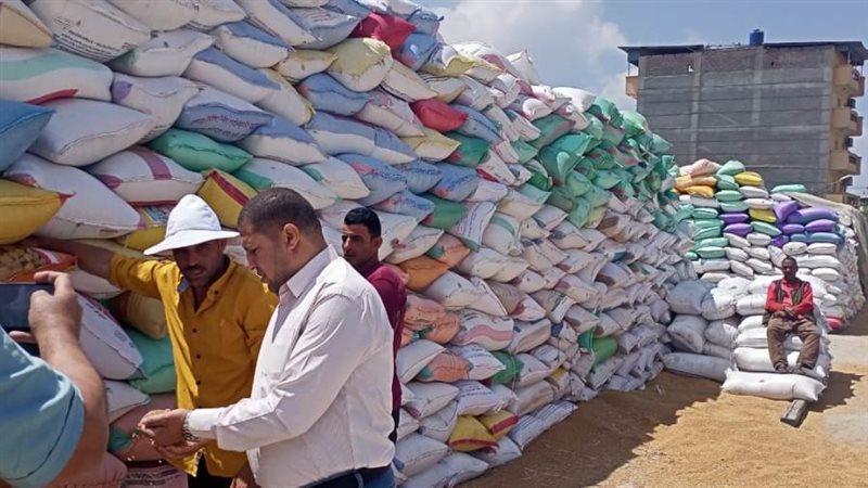 أعمال توريد القمح