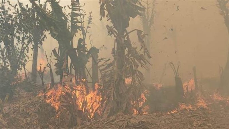 جانب من الحريق