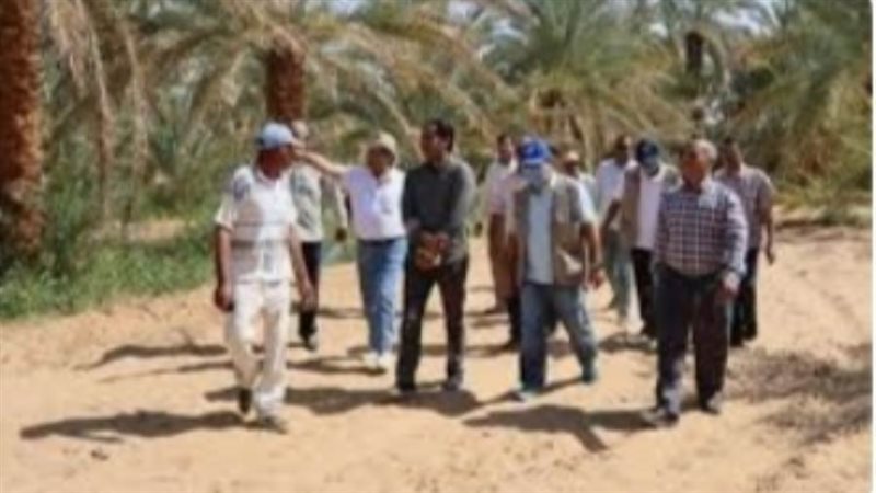 البحوث الزراعية تستانف