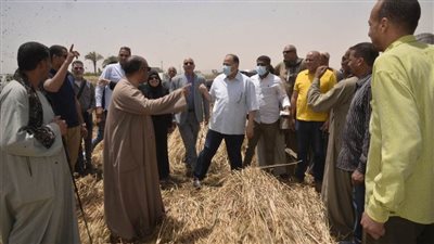 محافظ أسيوط: شون وصوامع المحافظة استقبلت 14747 طن قمح منذ بدء التوريد وحتى اليوم