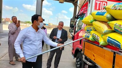 محافظ الإسكندرية: توريد 2267 طن قمح لصوامع المحافظة منذ بداية توريد الأقماح 