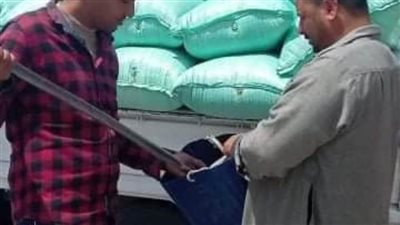 ارتفاع توريد القمح بصوامع القنطرة شرق إلي ١٣٠٨ أطنان 