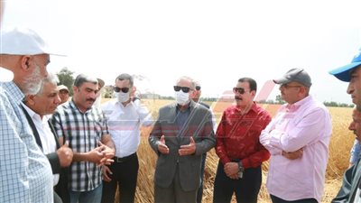نور الدين يتفقد عمليات حصاد الذهب الأصفر بكفر الشيخ