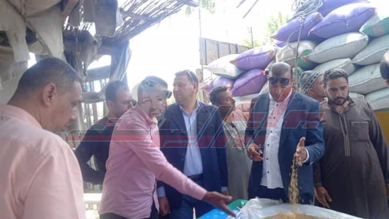 جولة رئيس المدينة