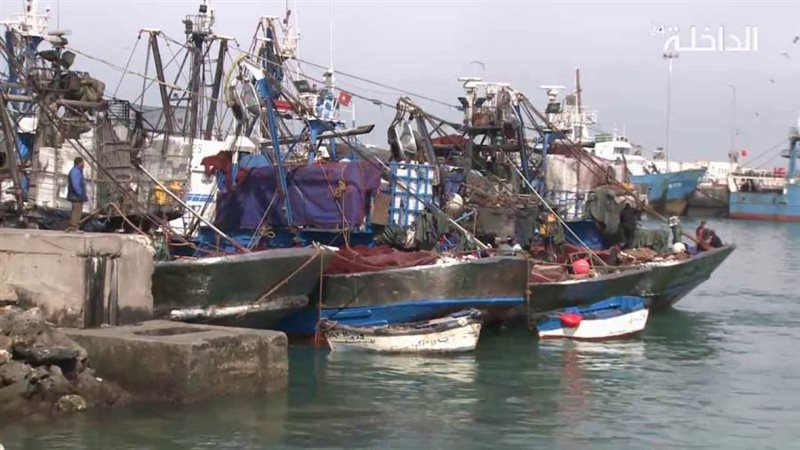 صورة ارشيفية