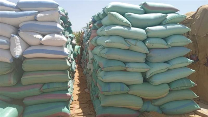 توريد القمح