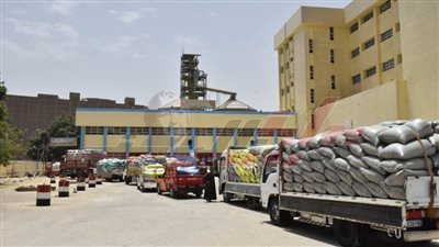 شون وصوامع كفر الشيخ تستقبل 63872 طنا و457 كيلو قمح