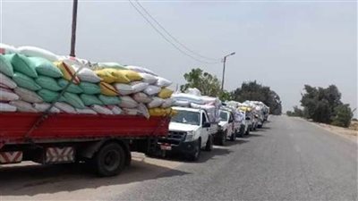 توريد 193 ألفًا و374 طن قمح لشون وصوامع الشرقية
