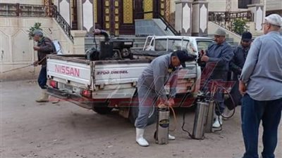 رش وتطهير أحياء كفر الشيخ.. لمكافحة الحشرات