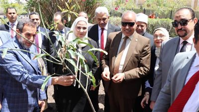 المحرصاوي والقباج يفتتحان منتدى 