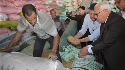 محافظ بورسعيد: توريد 3500 طن من الأقماح لشون وصوامع المحافظة حتى الآن