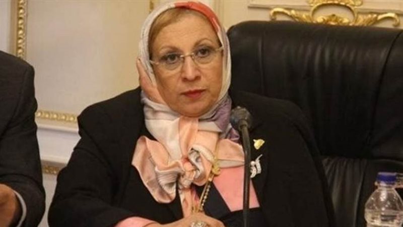 النائبة إيناس عبدالحليم