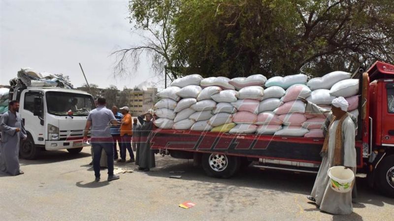 توريد القمح