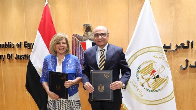 المستشار عمر مروان