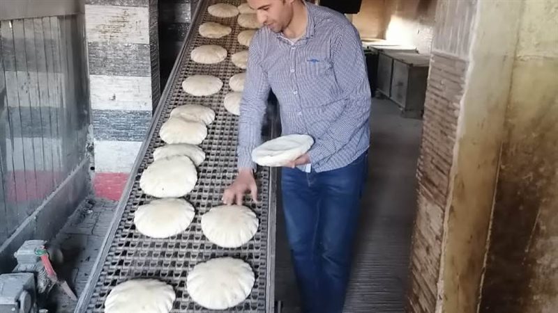 تحرير ٢٧١٩ محضر فى