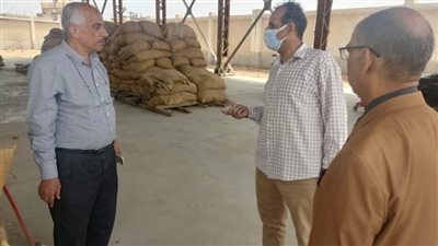 ندوات إرشادية عن سنابل الذهب ما بين الحصاد والتوريد في الإسماعيلية