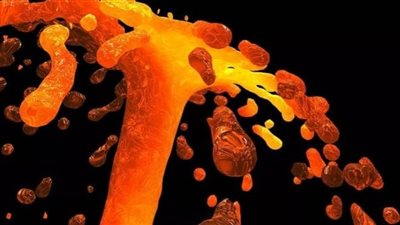  الاحتباس الحراري والثورات البركانية.. الأرض تتعرض للانقراض ٤ مرات