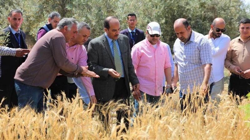 رئيس الجامعة يتفقد