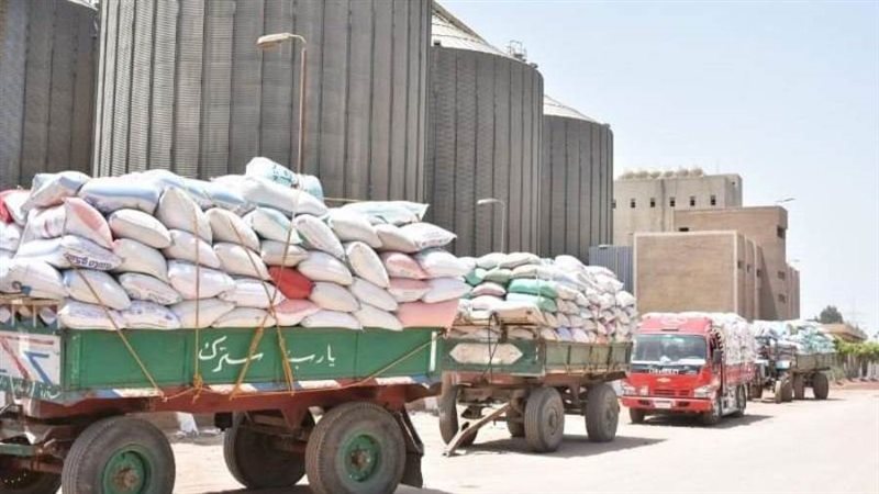 توريد القمح