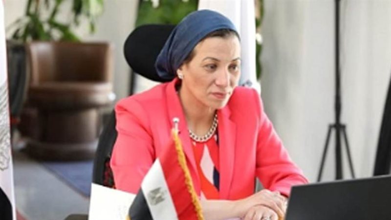 الدكتورة ياسمين فؤاد