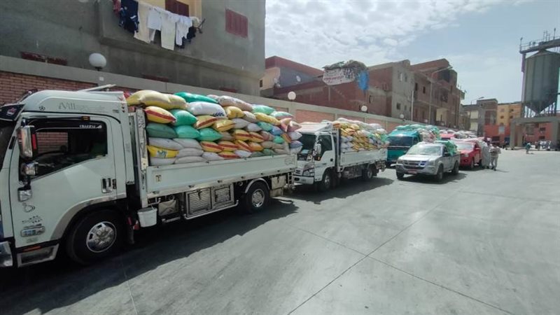 توريد ٨٢٨١٦ طن قمح