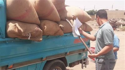 توريد 65  ألفًا و673  طن قمح المحلي ببني سويف 