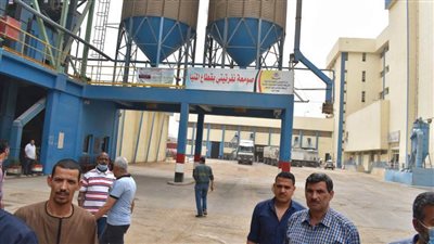 شون وصوامع المنيا تستقبل 192 ألف طن من محصول القمح 