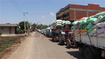 محافظ كفر الشيخ يشيد بالإقبال على توريد القمح بالشون والصوامع
