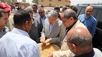 محافظ المنيا توريد 209 آلاف طن من محصول القمح بالشون والصوامع الحكومية