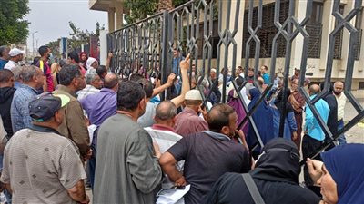 تزاحم الأهالي على تموين الإسماعيلية لتحديث بيانات البطاقات