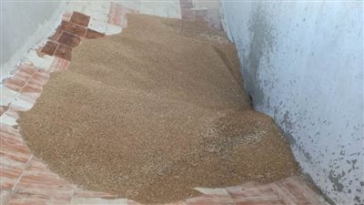 ضبط ١٠ أطنان قمح محلي بأحد المطاحن  الخاصة بالمخالفة للقرارات التموينية