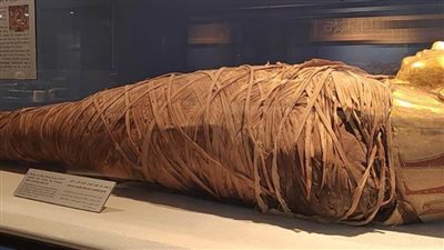 متحف المطار يستقبل مسافرى الترانزيت مجانًا