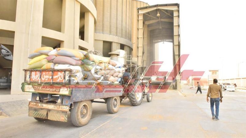 توريد القمح