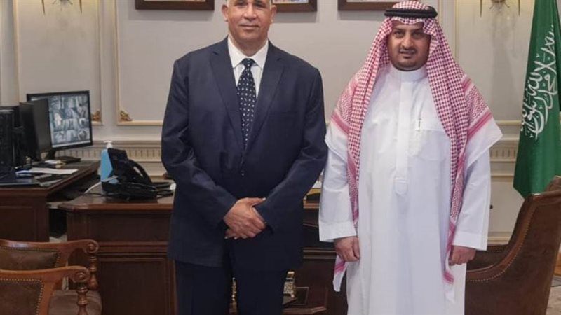 قنصل عام المملكه