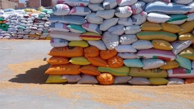 جانب من توريد القمح