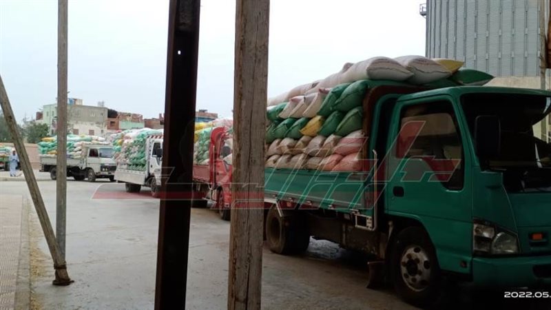 توريد القمح