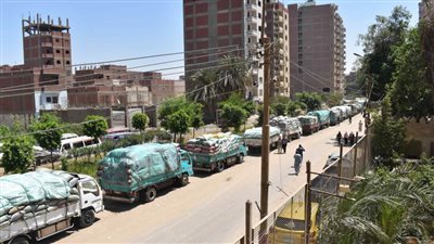 شون وصوامع المنيا تستقبل 226 ألف طن من محصول القمح