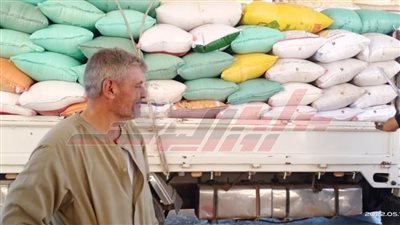 شون وصوامع كفر الشيخ تستقبل 145007 أطنان و741 كيلو قمح