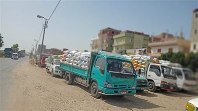 شون وصوامع البحيرة تستقبل ١٦٠ ألف طن قمح منذ بدء موسم الحصاد