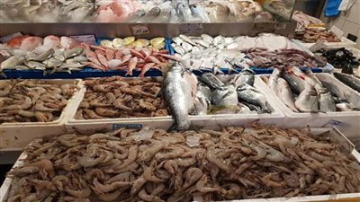 سعر الأسماك اليوم الخميس ١٩مايو ٢٠٢٢ في سوق العبور