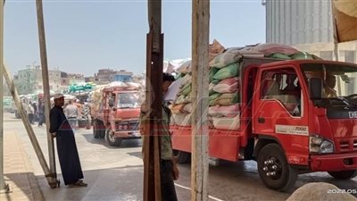 شون وصوامع كفر الشيخ تستقبل 163061 طنا و519 طن قمح