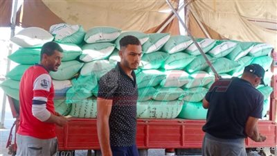 توريد 170231 طنا و271 كيلو قمح لشون وصوامع كفر الشيخ