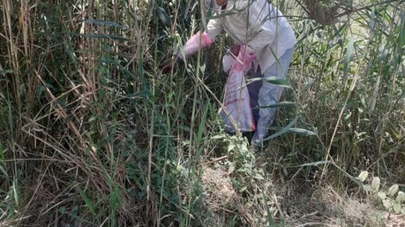 زراعة بالبحيرة تقاوم