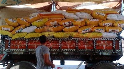 شون وصوامع كفر الشيخ تستقبل 176144 طنا و64 كيلو قمح