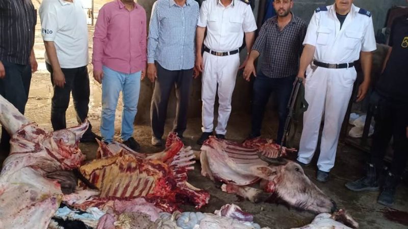 ضبط ٤١٥ كيلو جرام