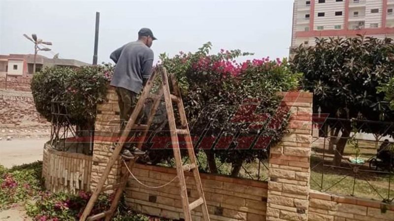 تطوير الميادين