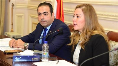 رياضة النواب توافق علي موازنة استاد القاهرة.. وتصدر 6 توصيات بشأن الأكاديمية الوطنية للتدريب